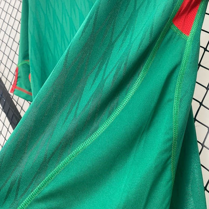 Mexico National Team 2010 Home - Fan Version Adult