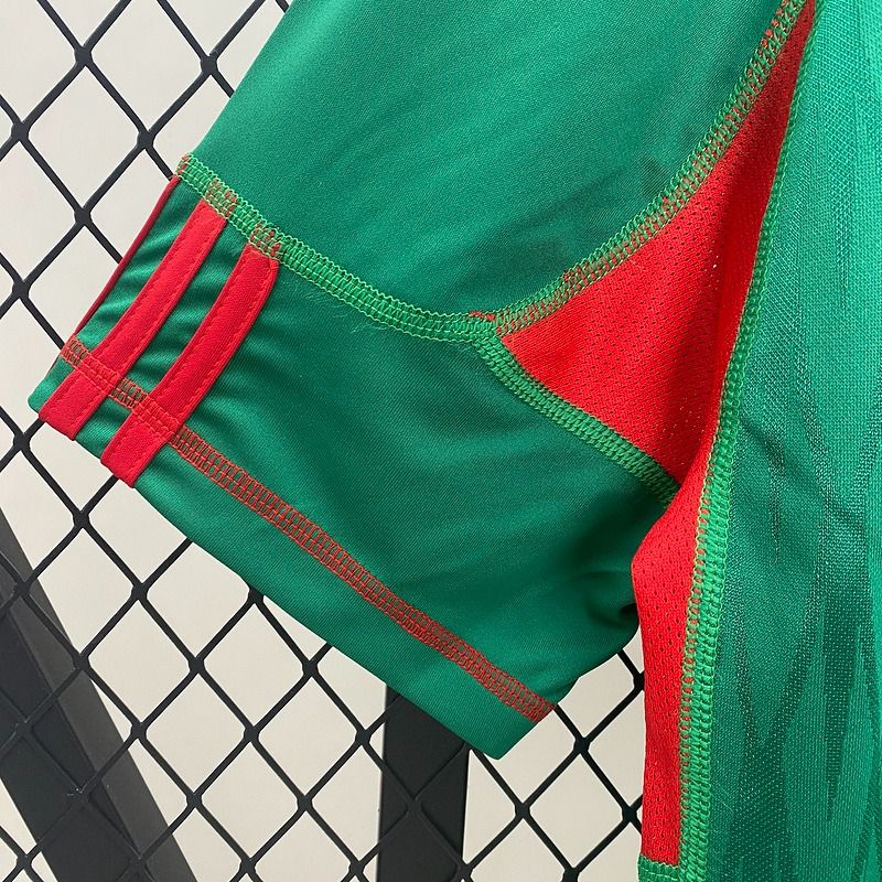 Mexico National Team 2010 Home - Fan Version Adult