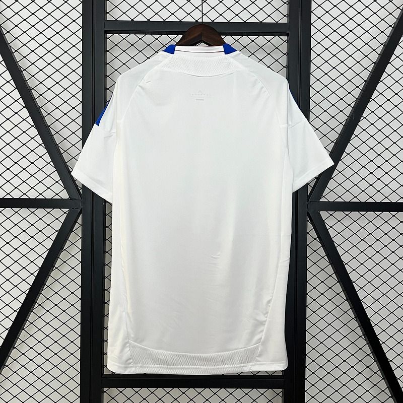 Olympique Lyonnais 2010/2011 Home - Fan Version [Adult]